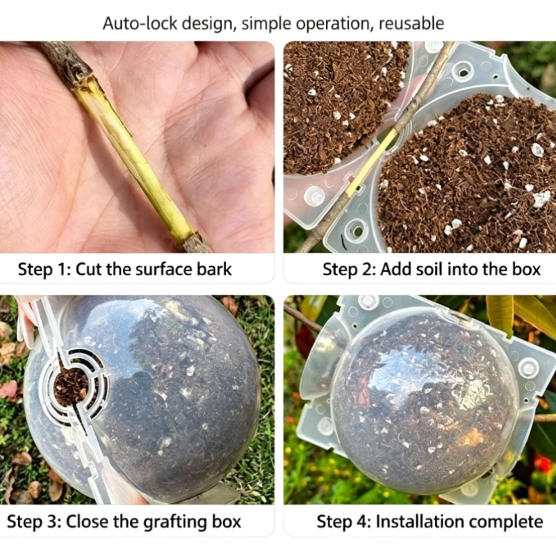 100pcs-Transparent Plant Propagation High Pressure Box With Square Frame And Rooting Chamber For Tree Grafting And Branching