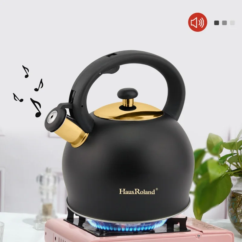 

Электрический чайник Hausroland, звуковой чайник из нержавеющей стали, бытовой электрический чайник с открытым пламенем, емкость кипящего чайника 3.