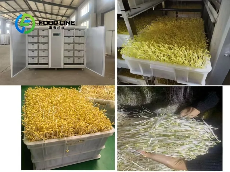 

Fully Automatic Bean Sprouting Machine Bean Sprout Farming Machine Automatic Growing Sprout Processing