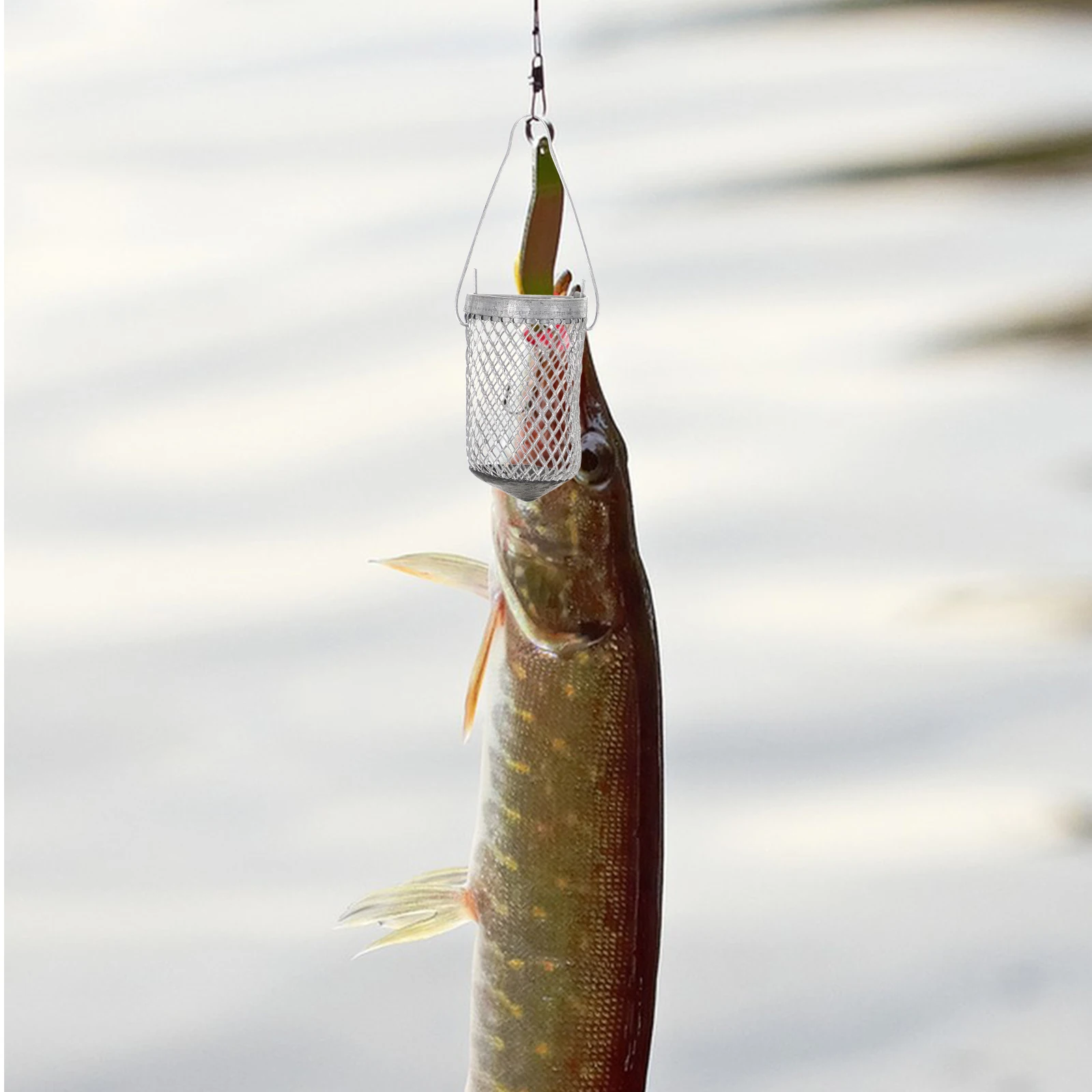 

2pcs Metal Bait Cage Bowl Feeders for Carp Fishing String Hook Holder Iron Trap Durable Portable Fishing Accessories