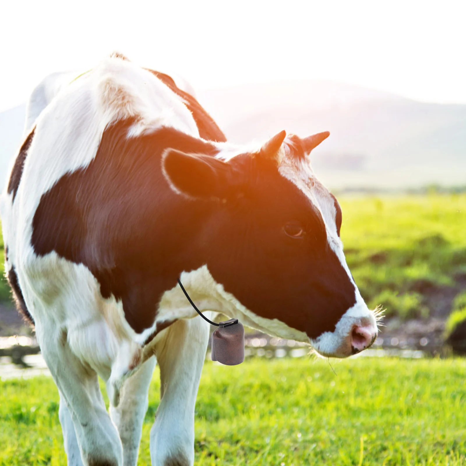 

2Pcs Galvanized Iron Livestock Bells Retro Portable Cattle Bells Grazing Supplies Farming Accessories Livestock Collar Ornaments