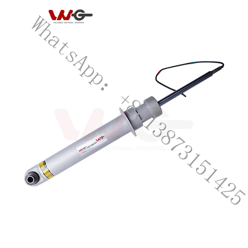 

Подходящий амортизатор (1 шт.) для BMW F10 M5, задний левый и правый, OE 3352 2284 047