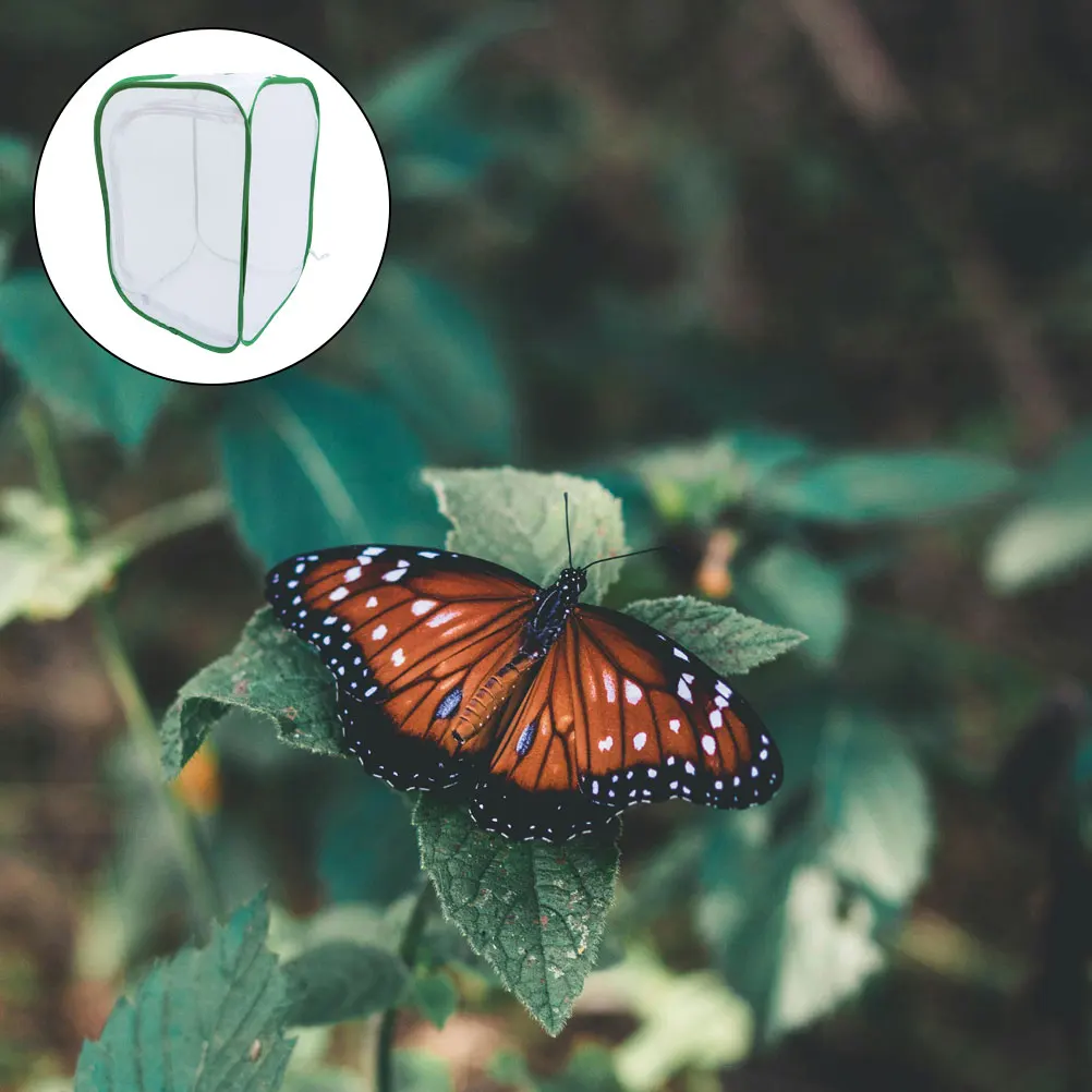 

Insect Cage Polyester Butterfly Habitat Breathable Portable Mesh for Outdoor Exploration Insect Breeding Butterfly