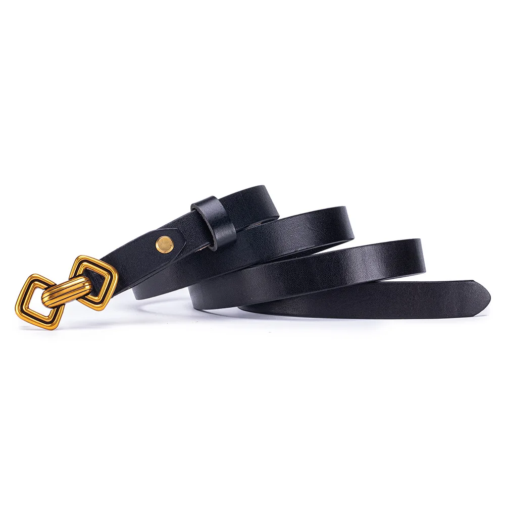 Alirattan 2026 New High Beauty Women's Thin Belt Fashion Versatile Leather Small Belt Texture Gold Buckle Decorative Pants