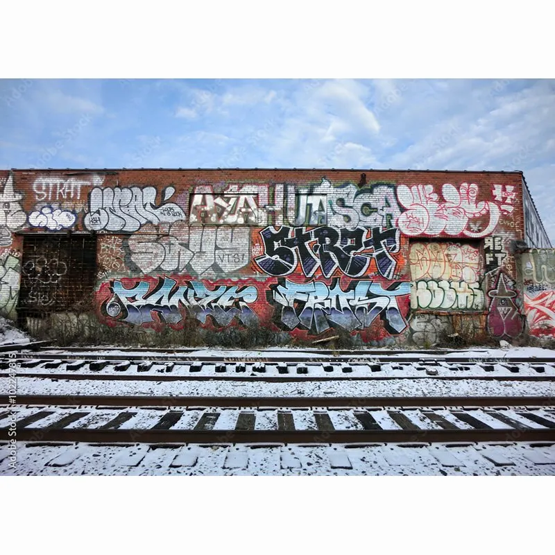 Fondo de fotografía de vinilo personalizado con tema de grafiti, accesorios de estudio Vintage, pared de ladrillo, 211218OCK-03