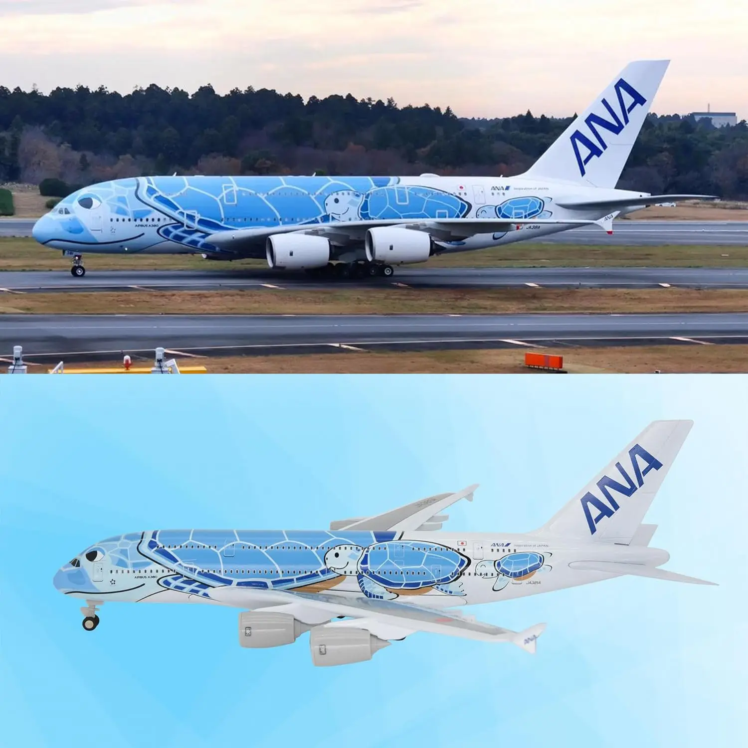 

1/160 A380 for ANA Turtle Airplane Model Kits Display Stand for Adult Aviation Gifts or Aircraft Collection
