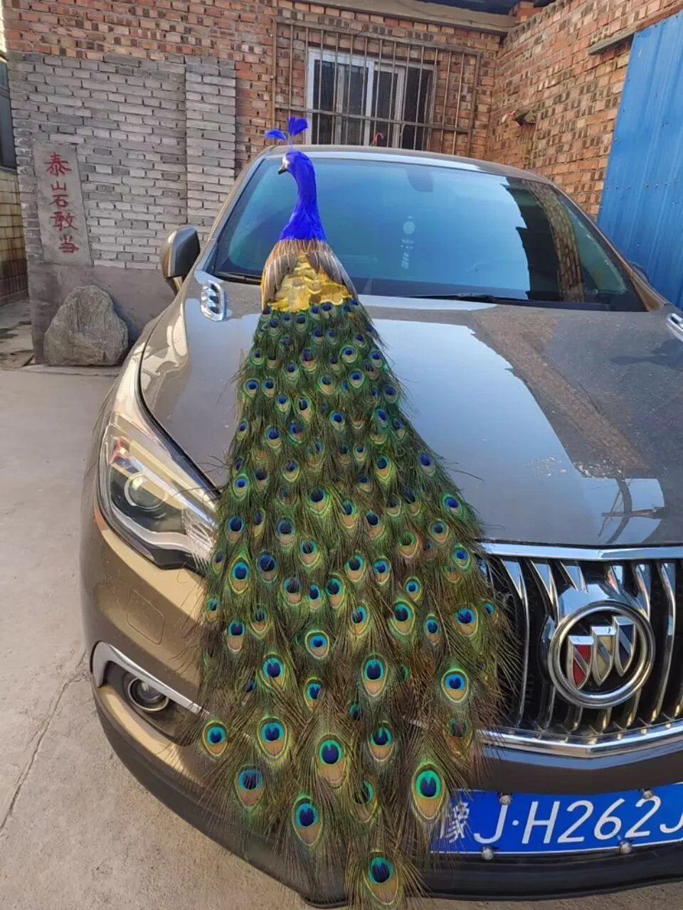 long simulation foam&feather beautiful peacock model gift about 125cm xf2988