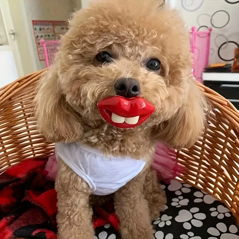 1pc Random Type Funny Pet Pacifier Chew Toy For Dogs - Interactive Red Lip Shaped Toy For Play And Dental Health