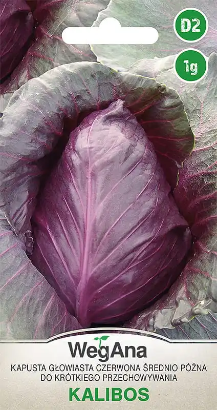 Red Kalibos cabbage seeds 1G VegAna vegetable cabbage seeds