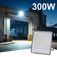 LED Flood light Spotlight Projector Outdoor Lighting 6500k Waterproof IP66 for Wall Garage Gym Street 220V 10w 20w 30w 50w 100w