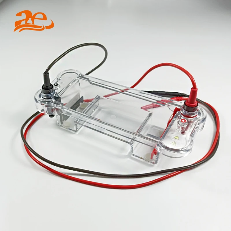 Gel Electrophoresis Fully Automated HB Gel Electrophoresis Tank Machine
