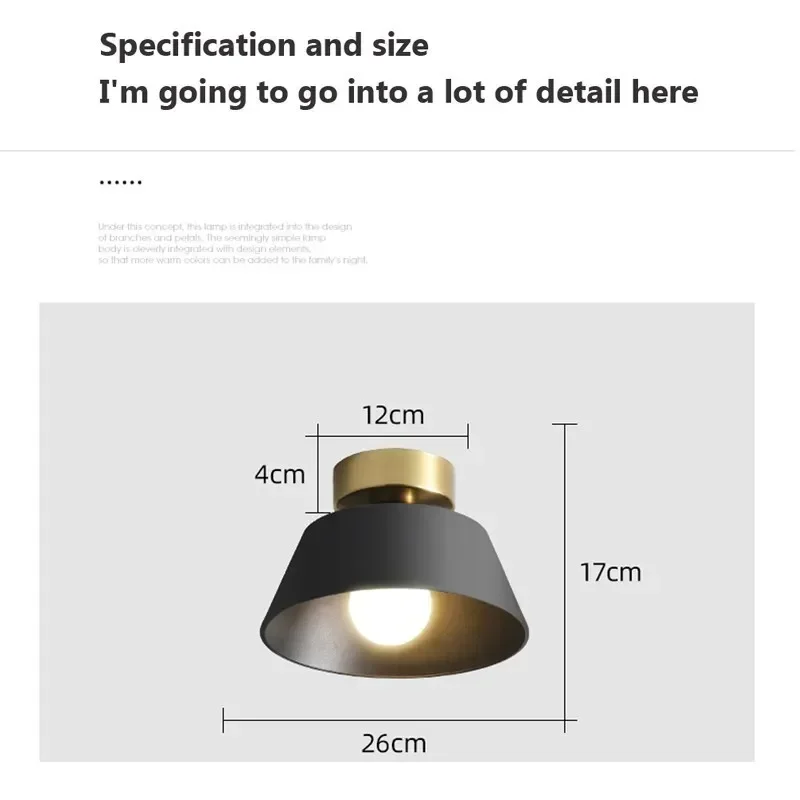 Retro Ceiling Light LED Indoor Decor Lamp Iron Round Black White Lampshade For Balcony Aisle Hallway Corridor Lighting Fixture