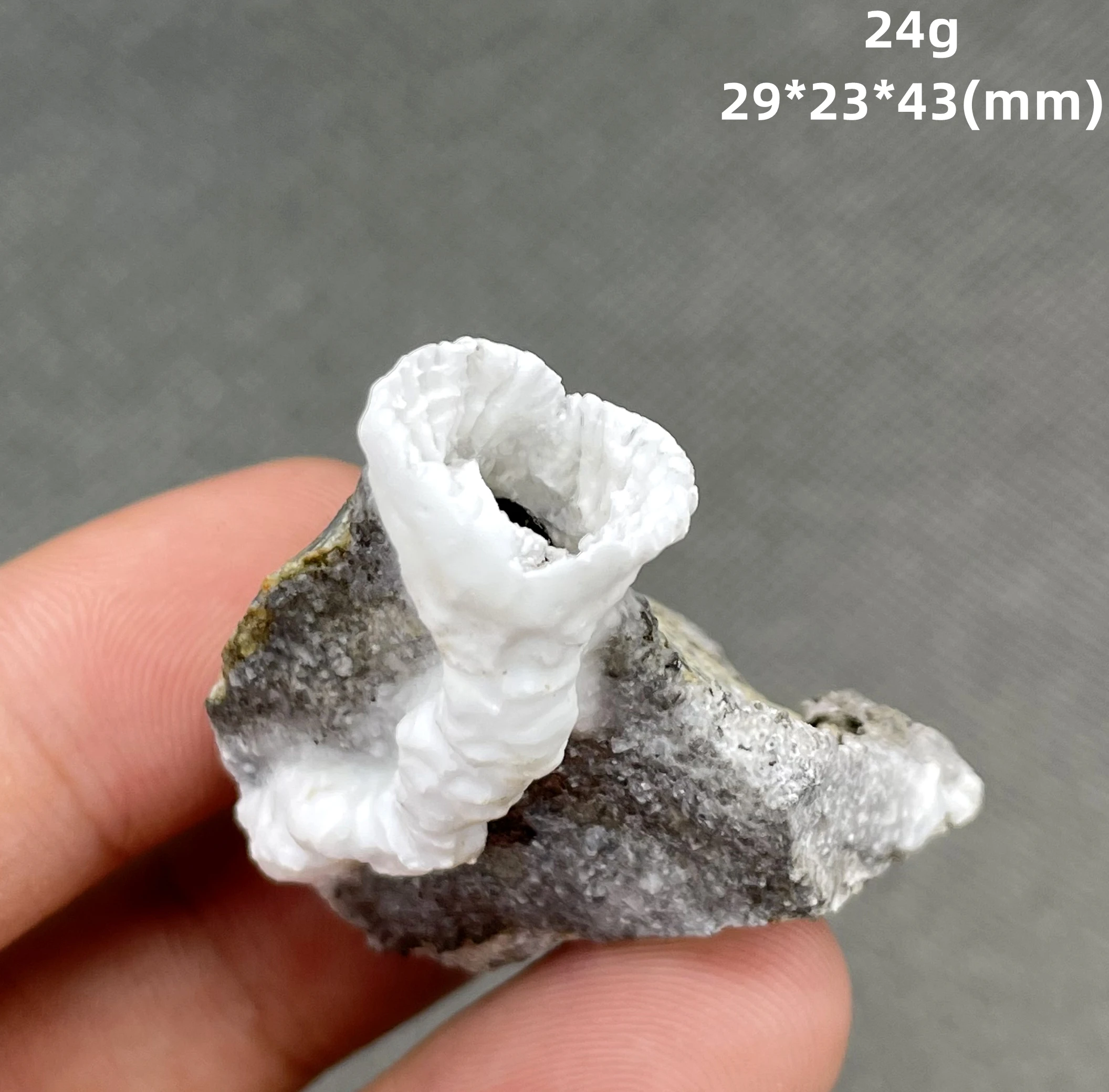 

NEW! 100% Natural Cup-shaped white aragonite mineral crystal specimens stones and crystals quartz crystals