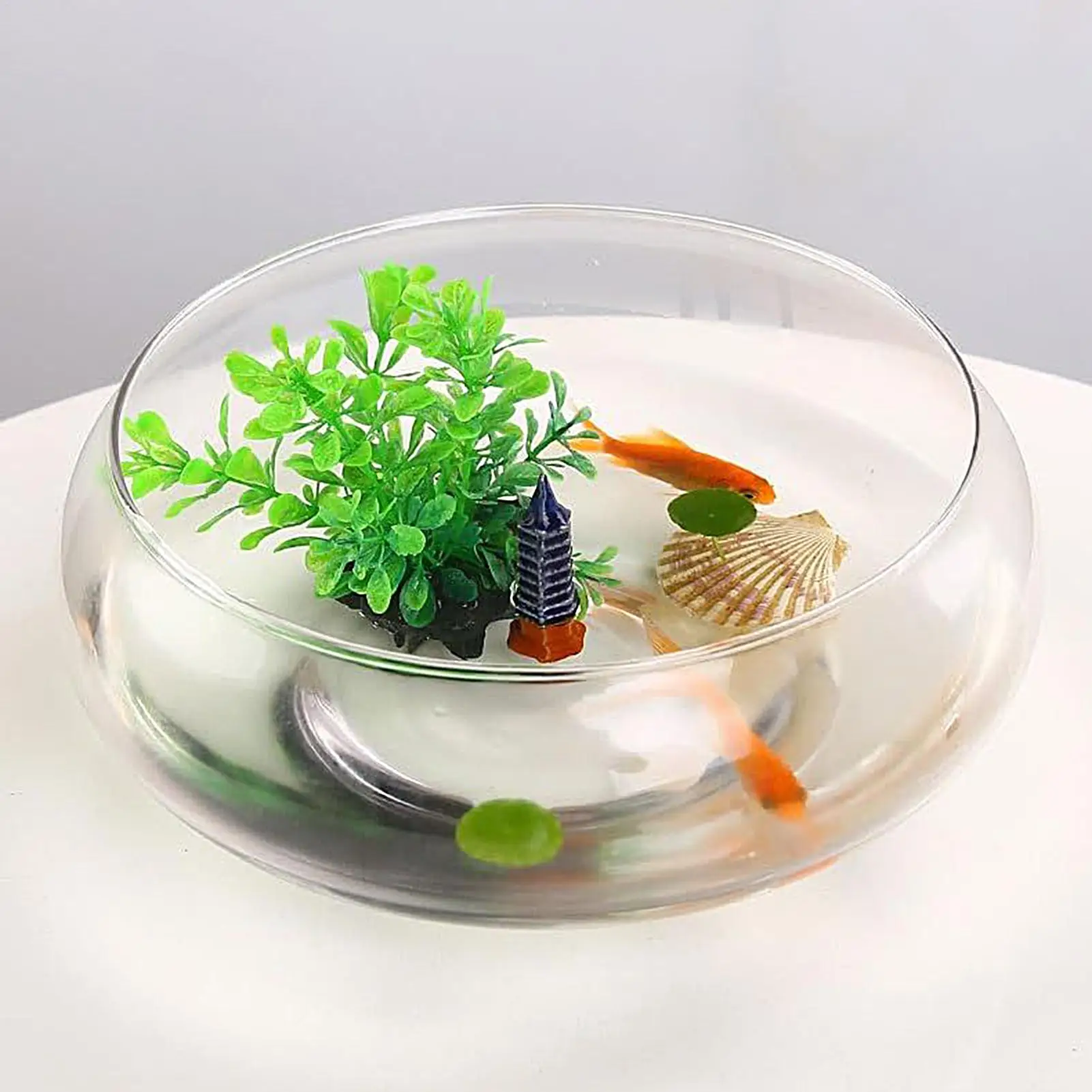 

25cm Glass Hydroponics Bowl Shallow Round Wide Plants Pot Large Fish Bowl Indoor Bonsai Flower Succulents Lotus Planting Tool