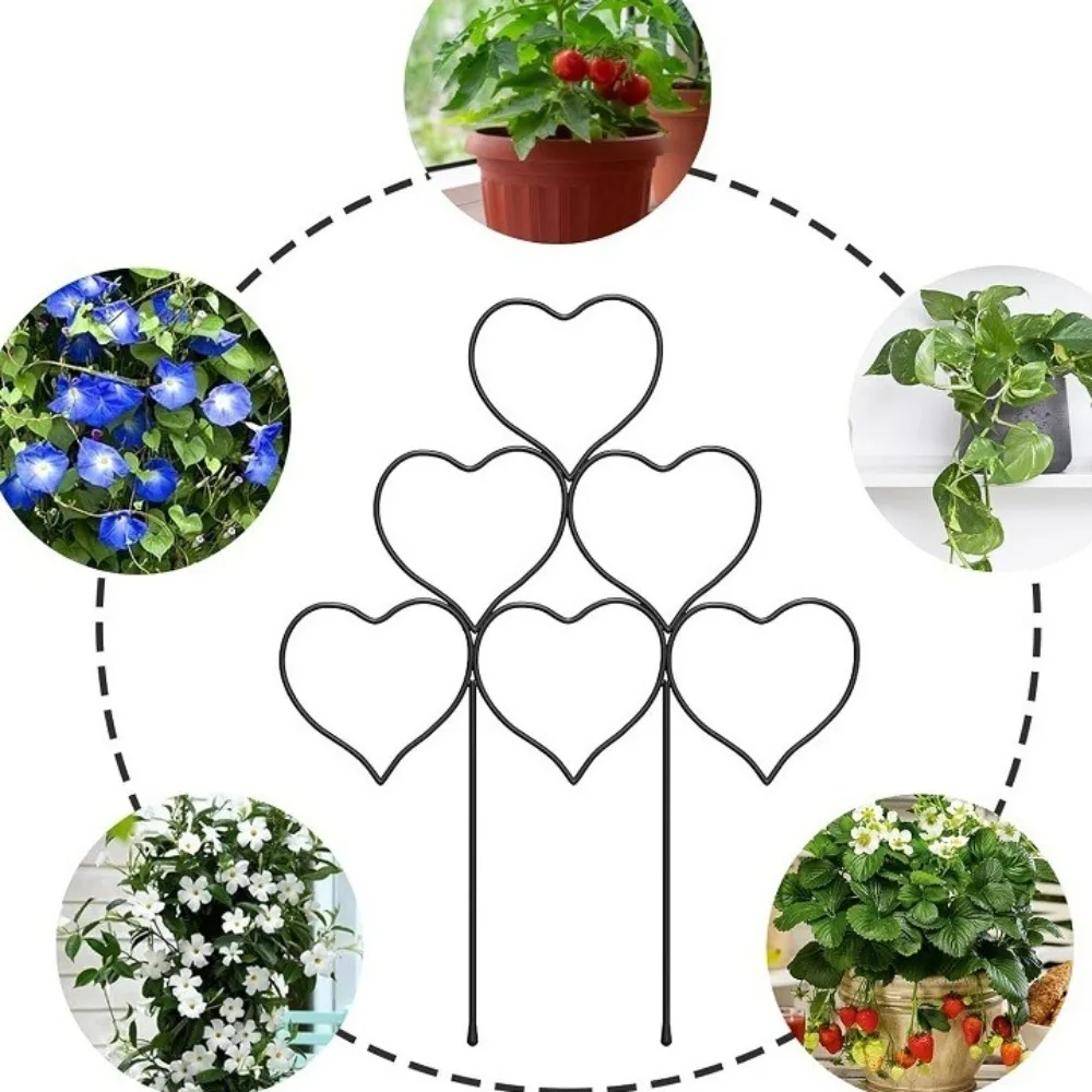 

Heart Shape Plant Supports Iron 14.6inch Trellis for Climbing Plants Indoor Universal Garden Trellis for Houseplants Flowers