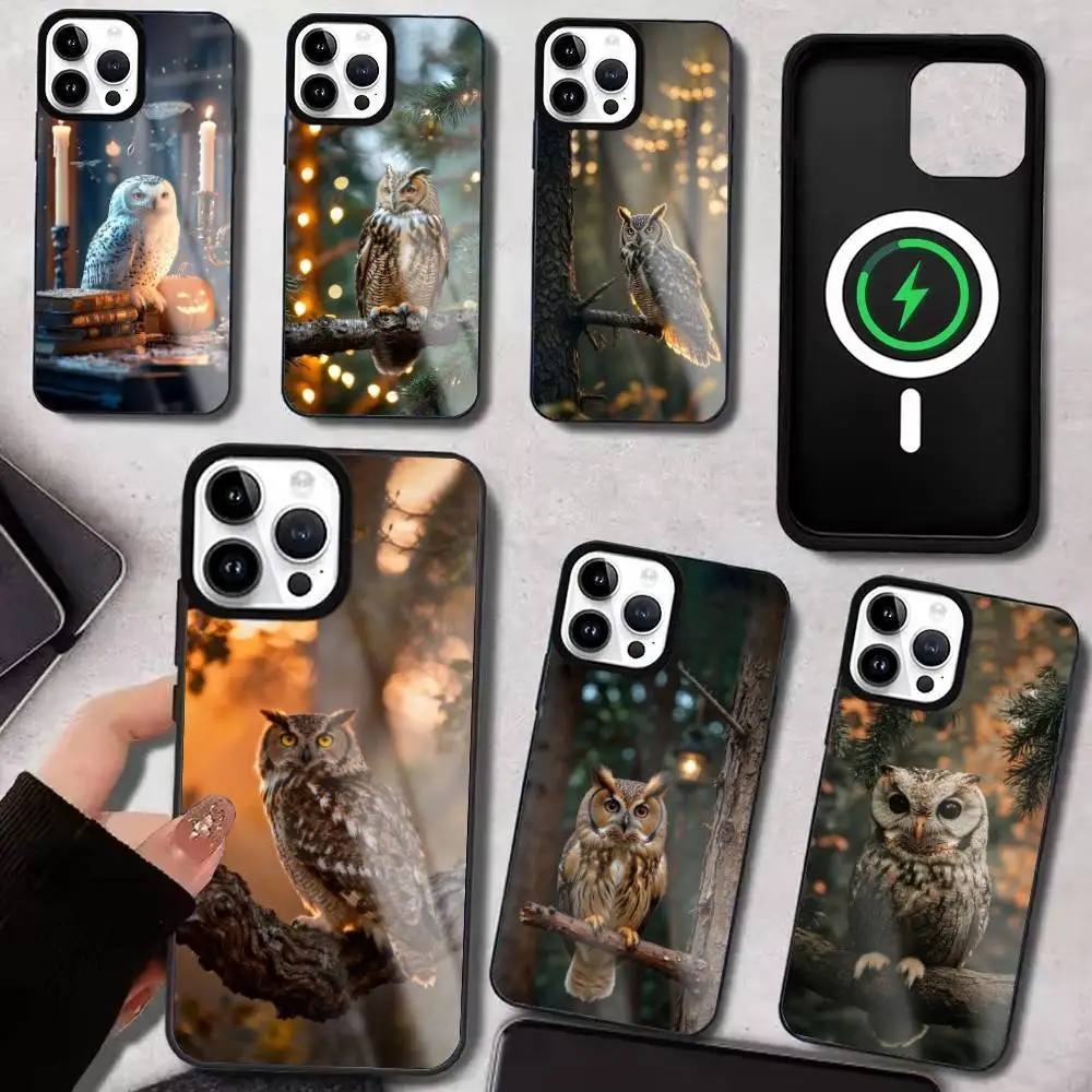 

Cute Owl Phone Case For iPhone17,16,15,14,13,12,11 Plus,Pro Max Magnetic For Magsafe Wireless Charging