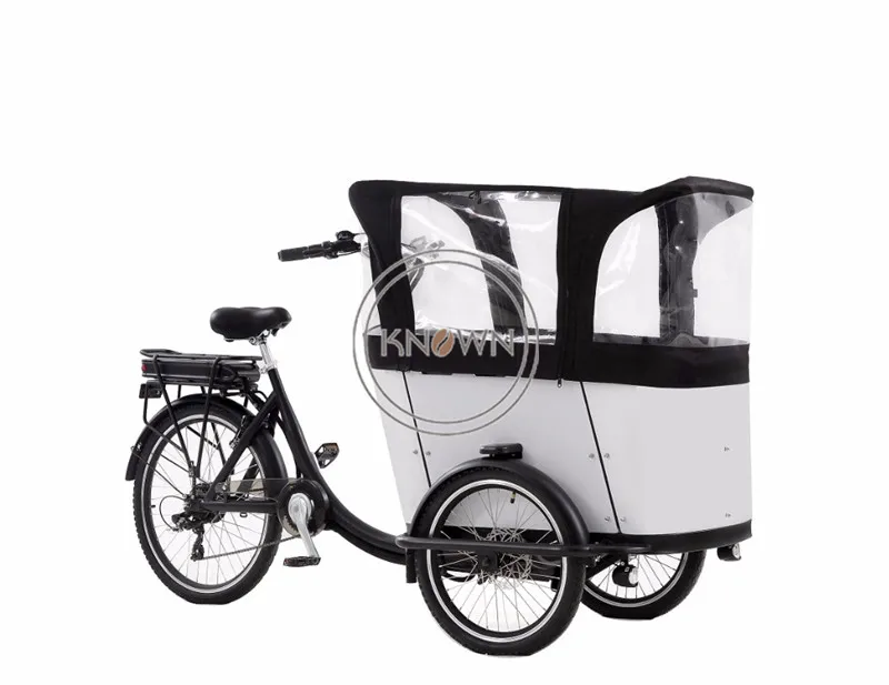 Pedal And Electric Family Cargo Bike Electric Adult Tricycle  Dropshipping