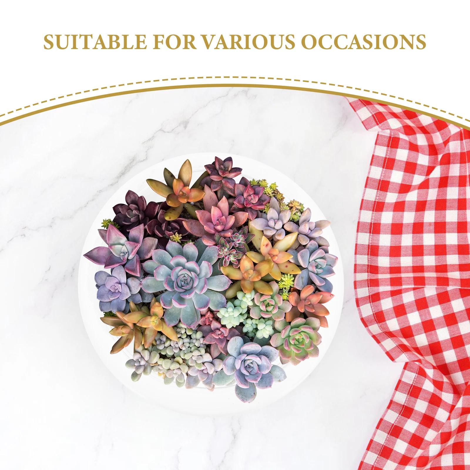 Vaso per piante grasse in vetro Contenitore per fioriera trasparente Acquario da tavolo per piante e piante grasse Decorazioni per la casa Terrario per piante ad aria Piccolo