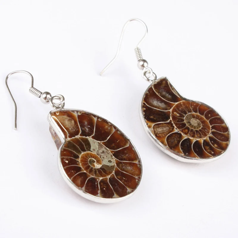 New 25X20MM Natural Ammonite Conch Shell Drop Earring 1 Pair