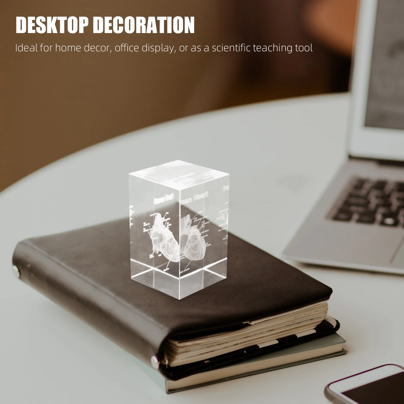 

Crystal 3D Human Heart Anatomy Cube Transparent Medical Teaching Tool For Science Education Decor Pathological Structure Display