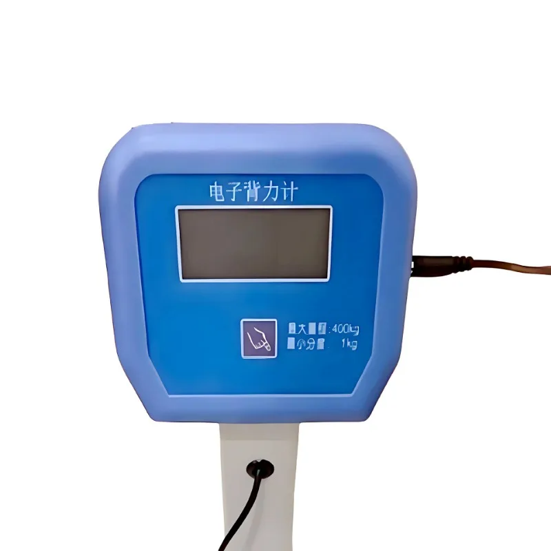 Electronic back force meter, back lumbar muscle, functional assessment, physical fitness test, rehabilitation equipment