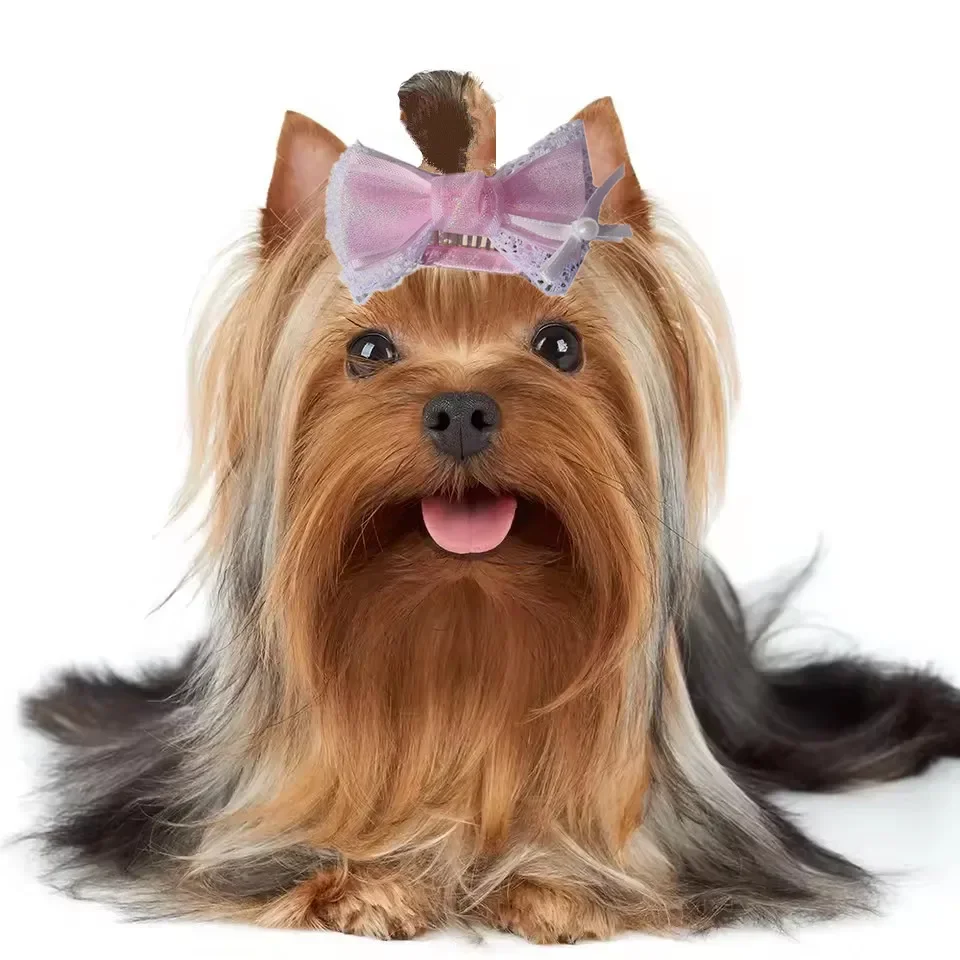 Fashoin-horquilla coreana para perro, horquilla para gato con perla rosa bonita para perro pequeño y mediano, gorros para cachorros y gatos, accesorios para el cuidado de mascotas