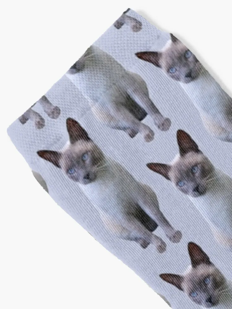 Siamese Cat Socks Funny Gift