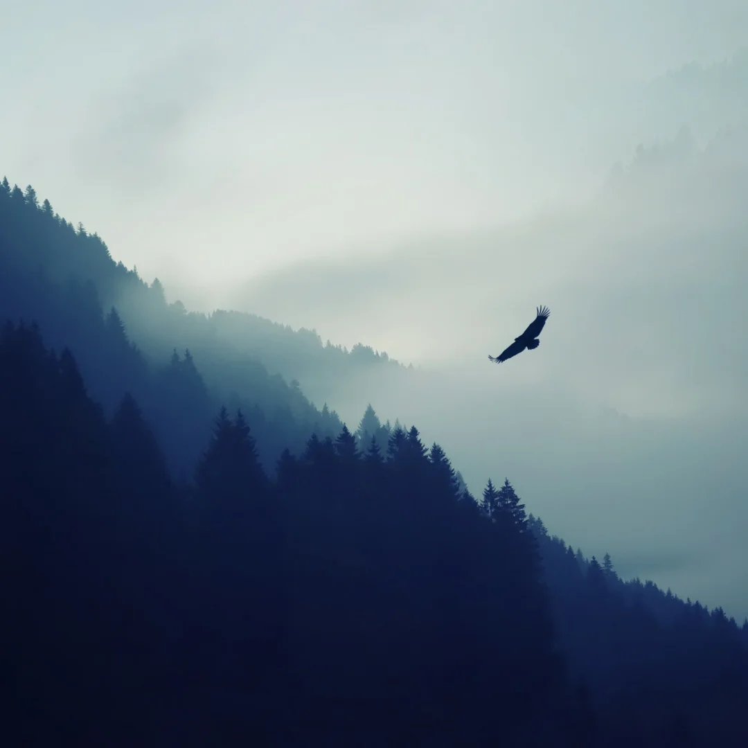 New 12.3 Inch For R… - image