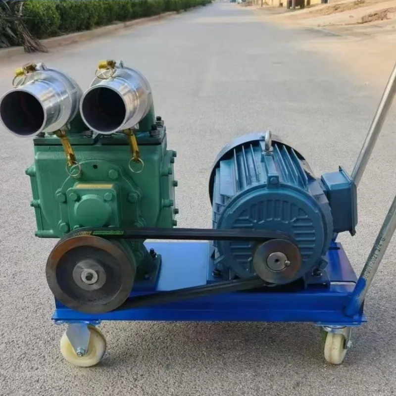 Farm Manure Suction Pump High Flow Clog Free Special High Suction Slurry Pump Pig Waste Pump