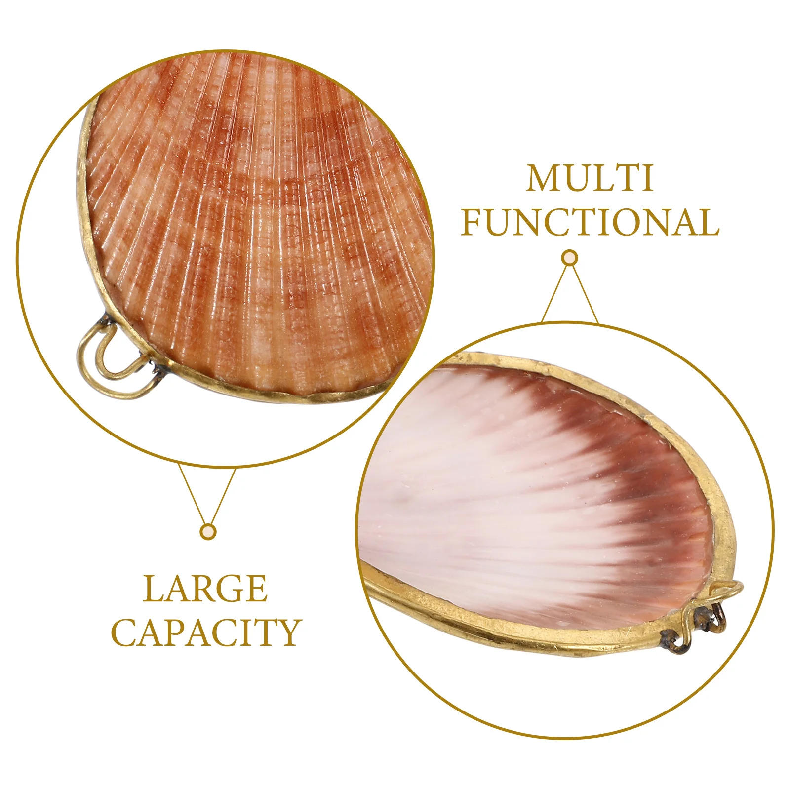 

Luxury Shell Shaped Jewelry Storage Box Earring Necklace Ring Holder Gift Case Travel Trinket Container Desktop Organizer Small