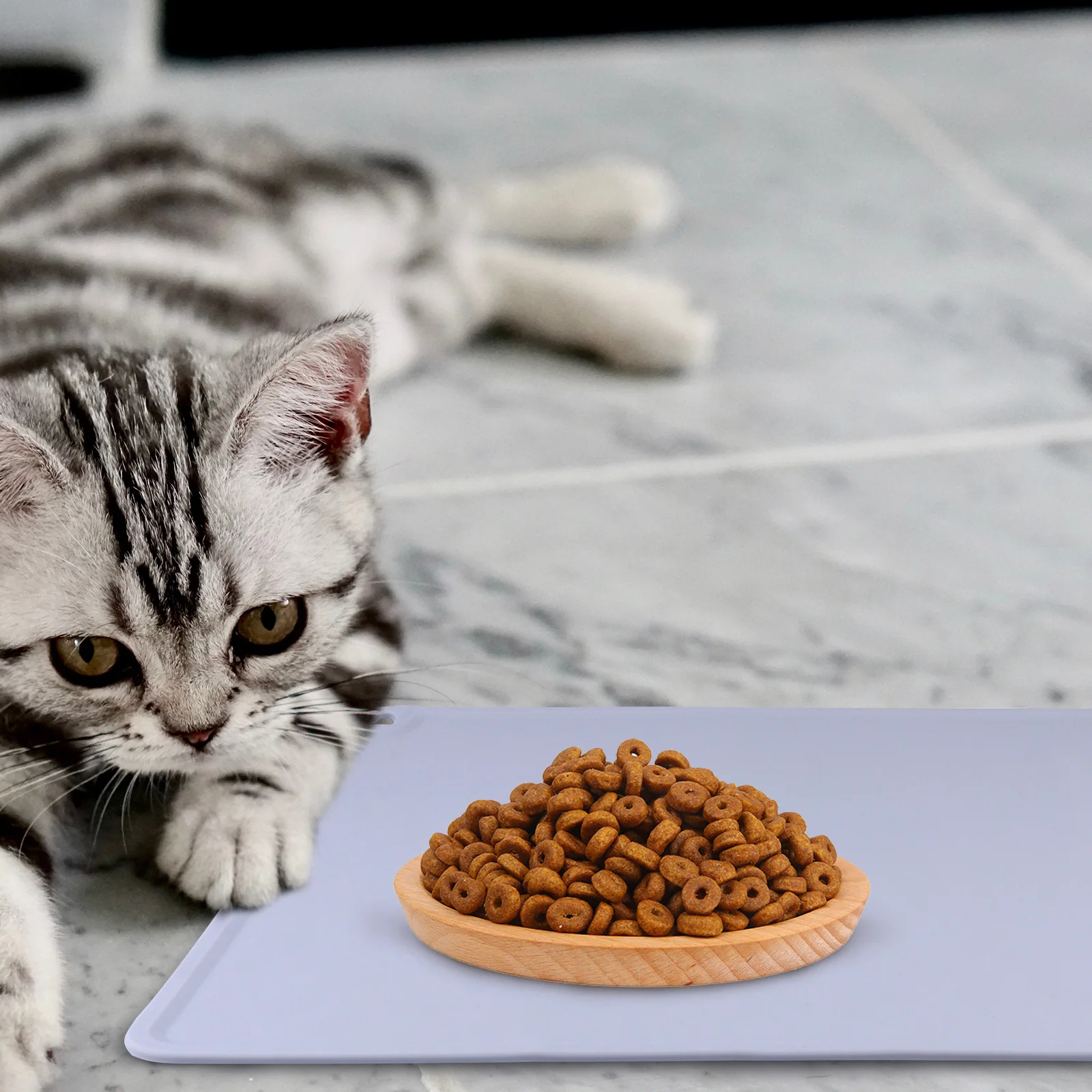 

Pet Food Mat Eating Feeding Raised Rubber Doggie Placemats for Feeder Silicone Cats Tray
