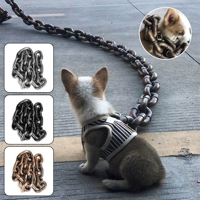 Plastic dog fashion leash