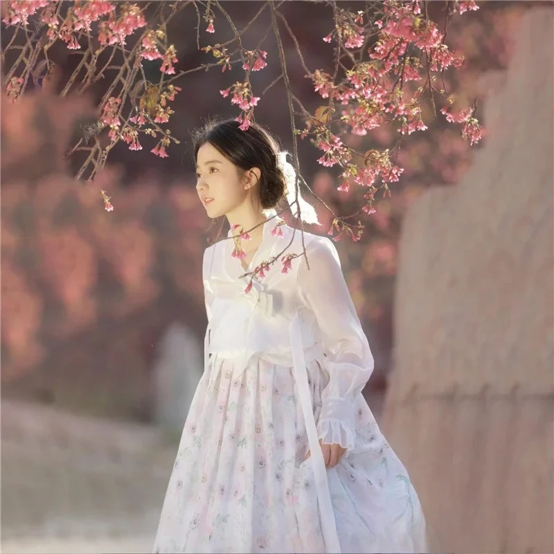 Studio New Korean Hanbok Female Princess Yanji Internet Celebrity Photo Theme Atmosphere Court Photography Clothes