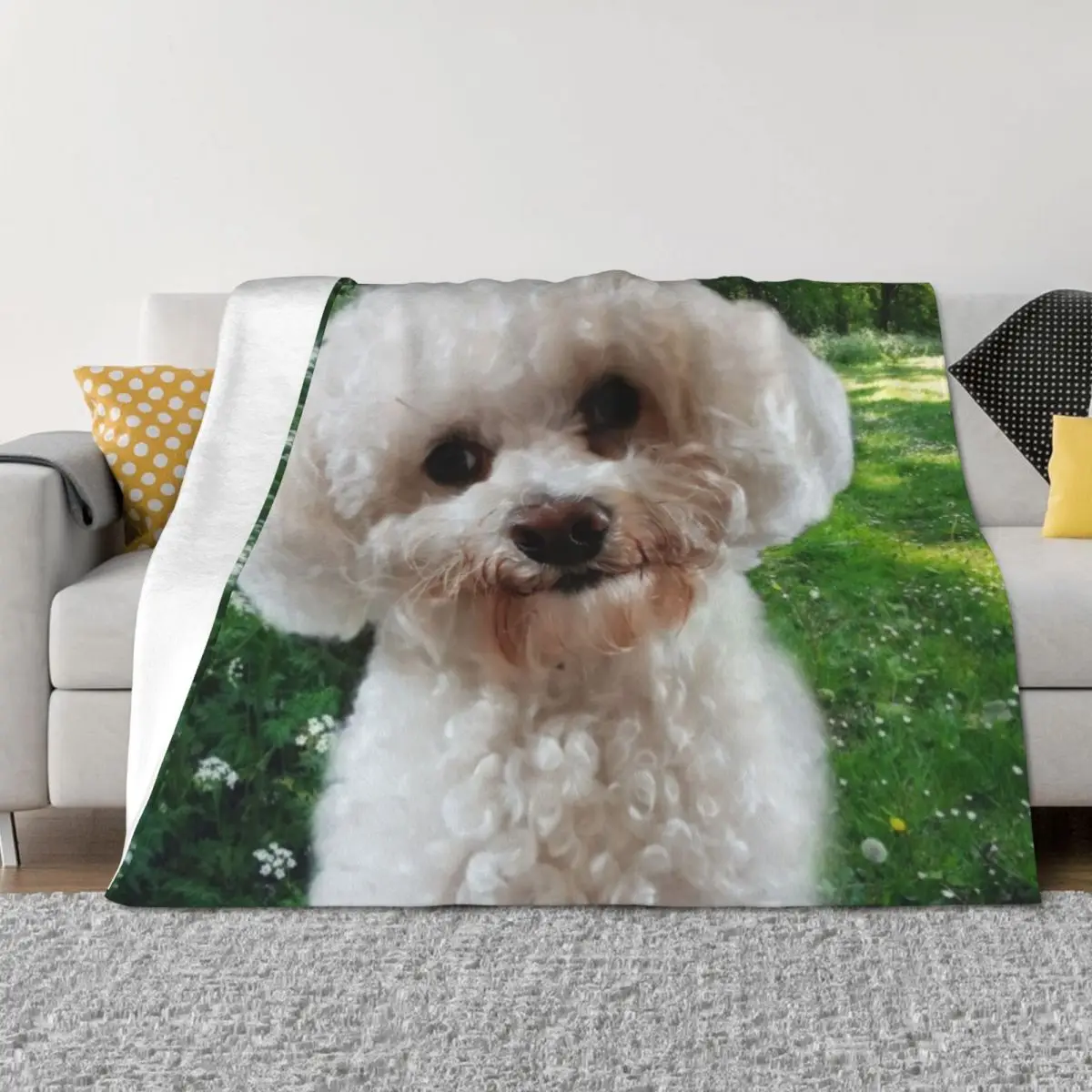 

Cavachon Throw Blanket Quilt Blankets For Bed Retros Cute Blankets