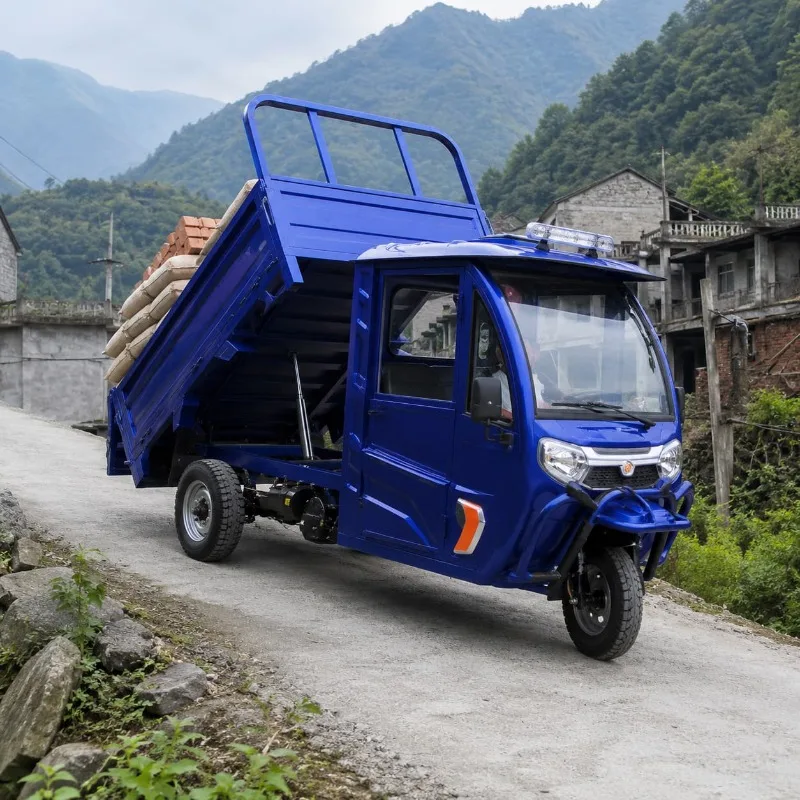 Electric Cargo Tricycle Customized 500 1000 KG Load Fast Tipping Cargo Box Practical Dump Utility Light Material Moving