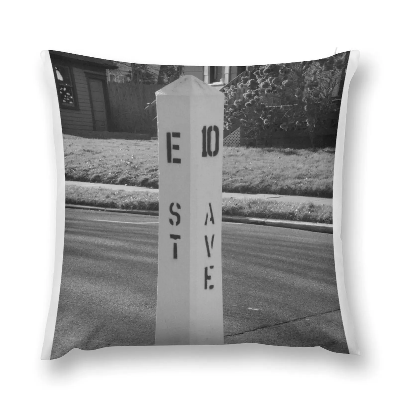 E Street Freeze Out Throw Pillow christmas ornaments 2025 Cushion Cover Luxury Throw Pillow pillow