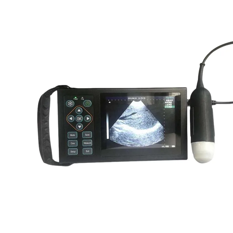 

Portable Veterinary Ultrasound Machine Veterinary Ultrasound Scanner Cattle Pig Sheep Ultrasound Pregnancy Testing Machine