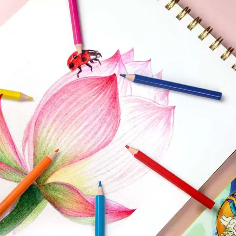 12 لونًا من أقلام الرصاص الصغيرة الاحترافية المصنوعة من الخشب الزيتي الناعم للألوان المائية للمدرسة والرسم واللوازم الفنية