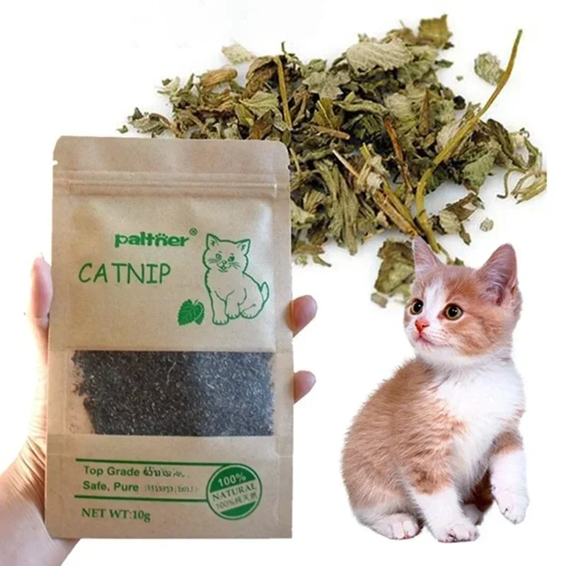 Natural premium catnip gado grama interativa gato não-tóxico 10g mentol sabor engraçado gato suprimentos manter pet saúde brinquedo do gato