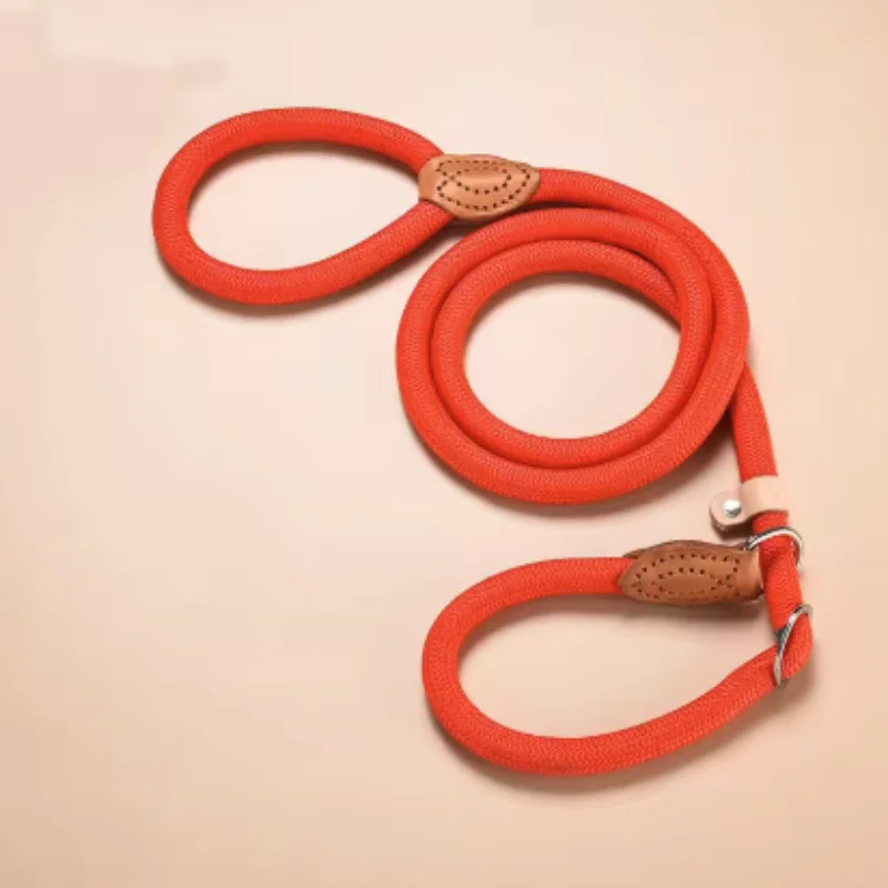 Neue Hundeleine, Slip-Leine, Robuste Geflochtene Seilleine mit Verstellbarem Schlaufenhalsband, Trainingsleine für Kleine und Mittelgroße Hunde – Detail 13