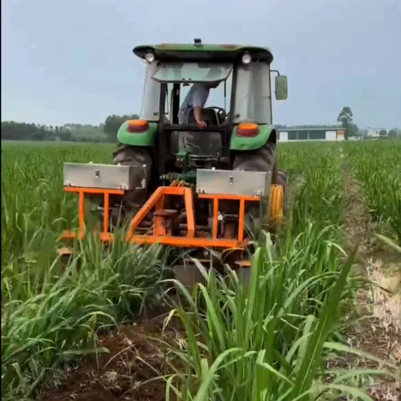 Farm Cultivator Factory directly supply tractor driven high-quality Sugarcane rotary tiller/Cultivator machine farming tools