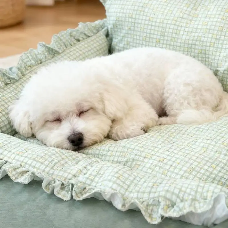 Cute Cotton Unique Dog Kennel Durable Green Modern Indoors Dog Supplies Mattress Designer Camas Para Perros Dog Furniture