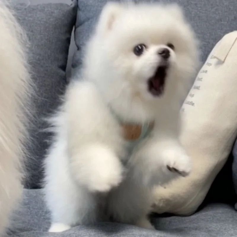 

2pcs/4PCS Brass Counterweight Balance Weight for YK4101PRO YK4102 YK4103 YK4082 YiKong RC Crawler Car Upgrade Parts