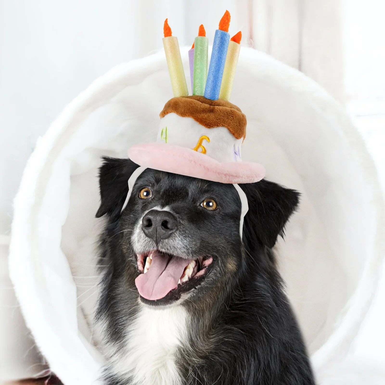 

Dog Accessories Pet Birthday Cake Hat Dog Cat Party Costume Dog Birthday Hat With Candles