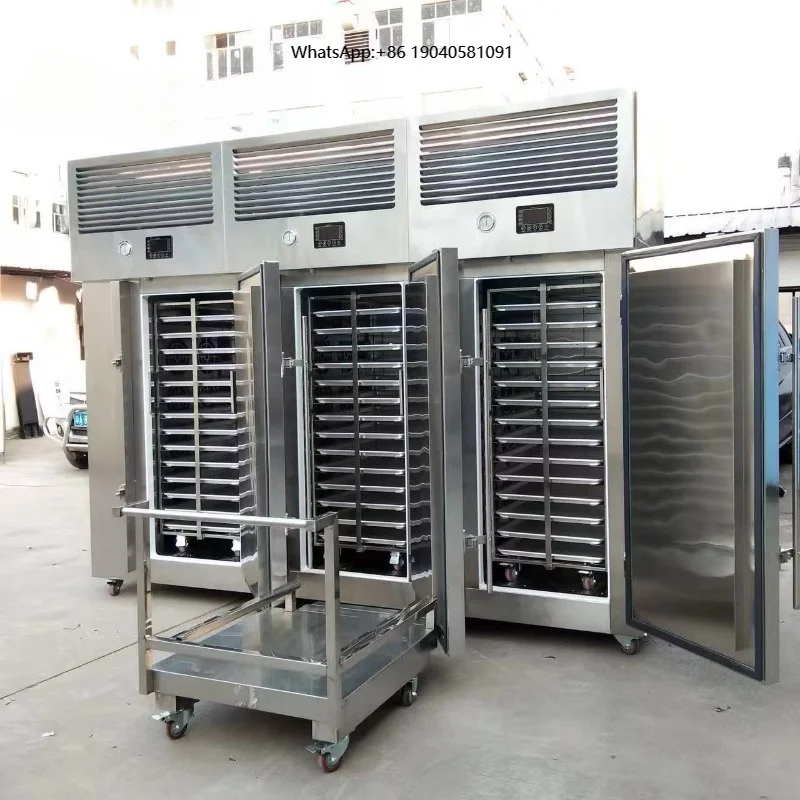 Quick Blast Chiller Shock-free Seafood Equipment for Chilling and Process Refrigeration Stainless Freezer