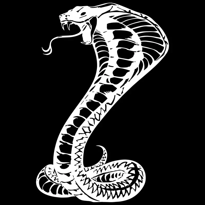 Cobra Snake Reptile Vinyl Personality Car Stickers Automobile Motorcycle Decals Car Styling,22cm*15cm