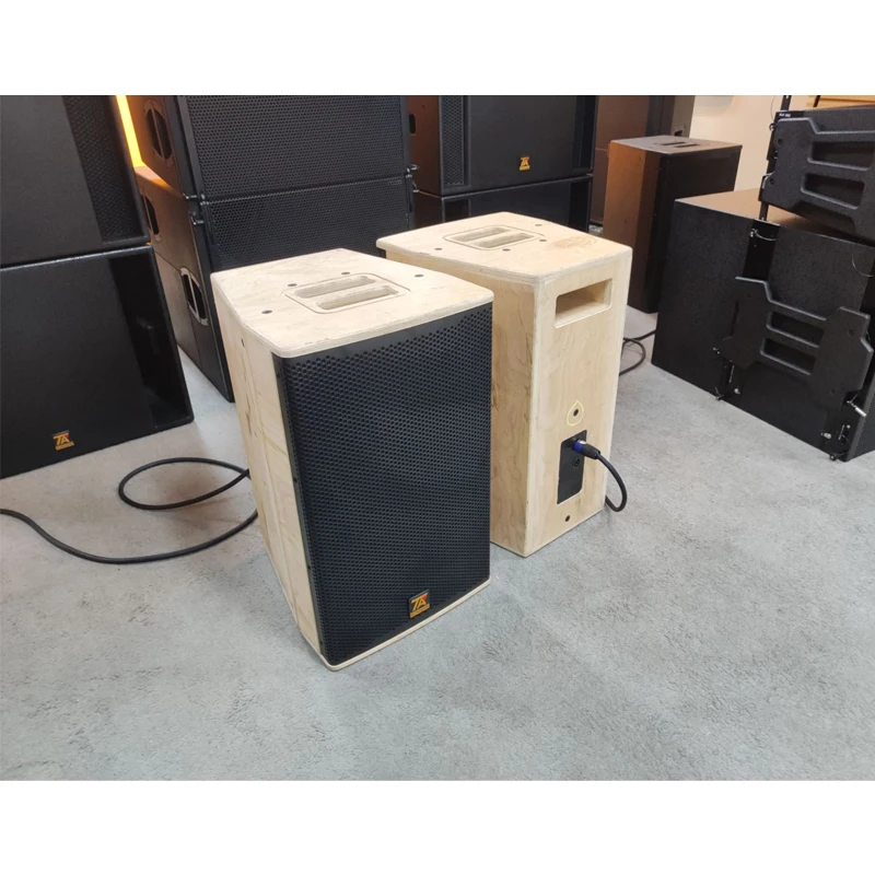 12 inch geluidsapparatuur KTV- en karaoke-luidspreker