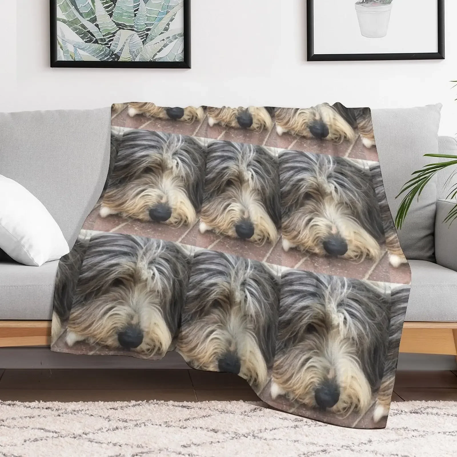 Bearded Collie Nap Time - Always got one eye open just in case! Throw Blanket Luxurious Soft Fuzzy Blanket for Sofa Bed