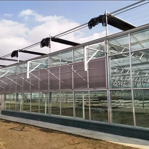 

Customized greenhouseMulti-Span Tempered/Float Glass Greenhouse with Hydroponic Culture for Crops/Vegetables/Flowers Hot Sale in