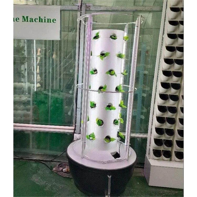 Lyine hydroponics irrigation growing system for various vegetables